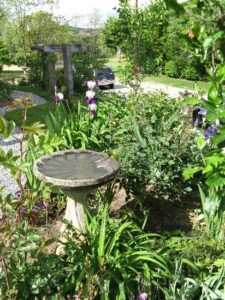 Birdbaths Are Good for the Garden Image